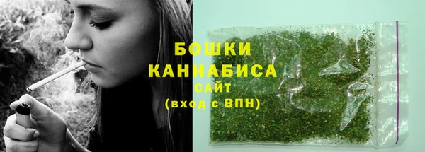 дурь Пестово