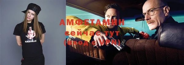молекула духа Переславль-Залесский