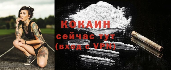 дурь Пестово