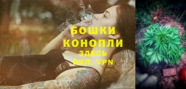 дурь Пестово