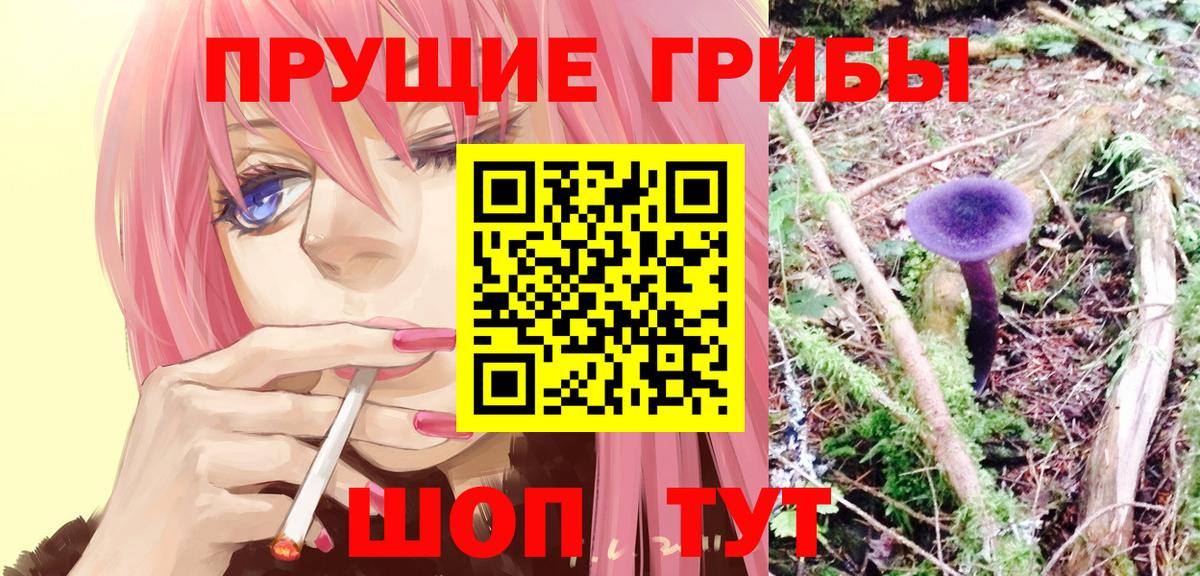 Псилоцибиновые грибы Psilocybine cubensis Топки