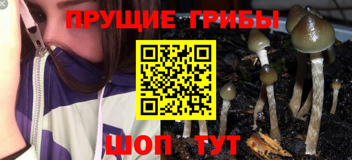Топки  Галлюциногенные грибы MAGIC MUSHROOMS  Вход с VPN  Галлюциногенные грибы прущие грибы 